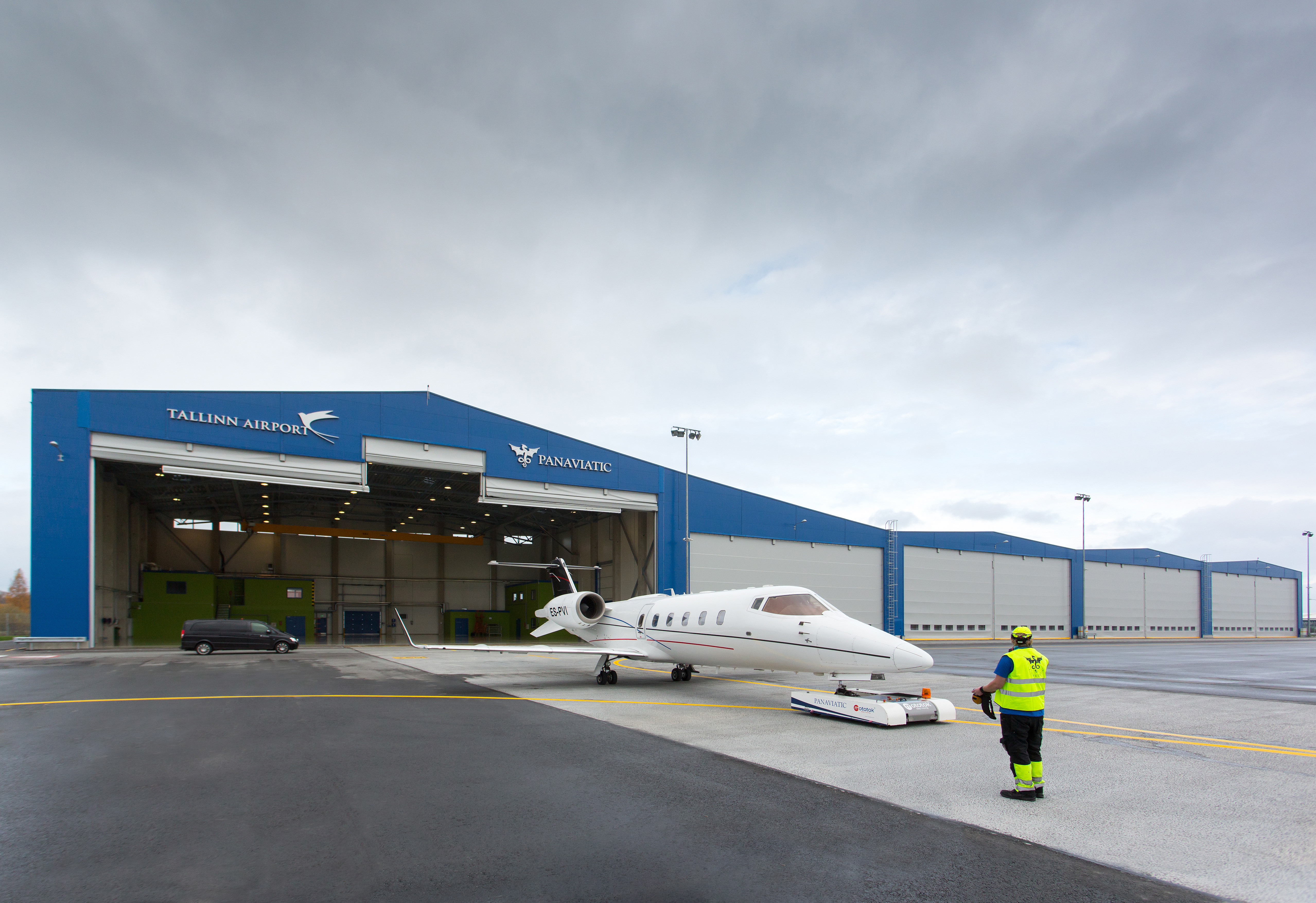 Hangar doors with mullions